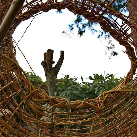 Gasthuis De - Palacio Dos Marqueses